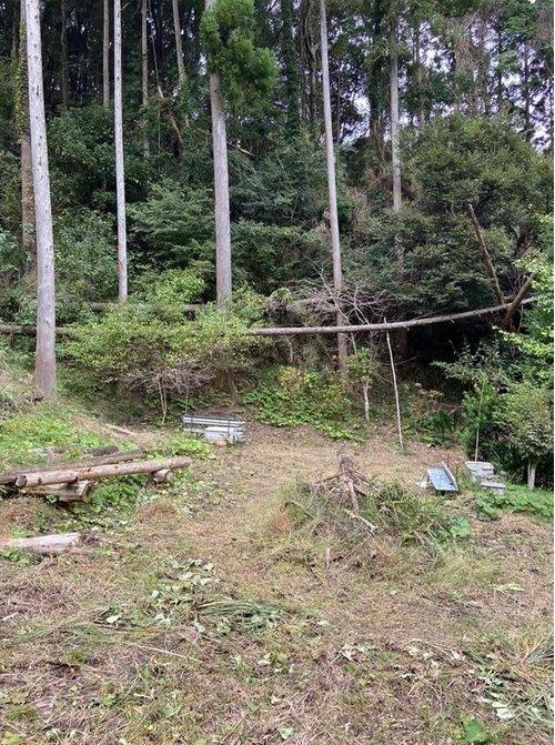 現地土地写真