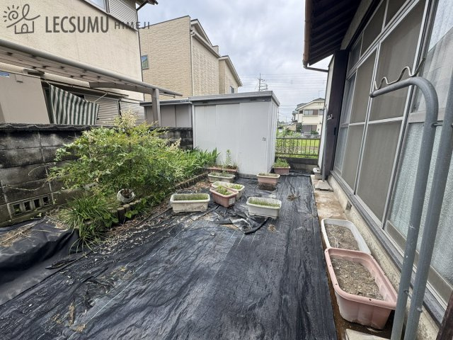 庭