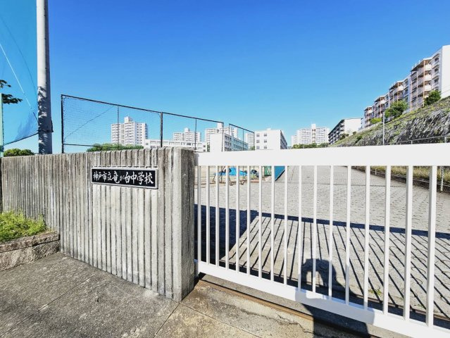竜が台中学校
