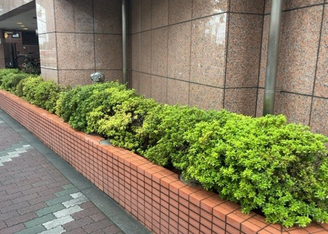 物件によっては、入居者が個人的に使用できる専用庭がついているものもあります。また、住宅の中にある土間の部分を庭と呼ぶこともあります。庭の用途は住む人によって変わり、それによってデザインもさまざまです。