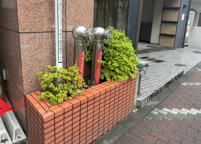 中庭（パティオ）とは、一つの建築物の内部に設けられた、壁などで囲われている庭のことを指します。コの字型、ロの字型が主流ですが、L字型の中庭もあります。最近では、インテリア性の高さからも人気があります。