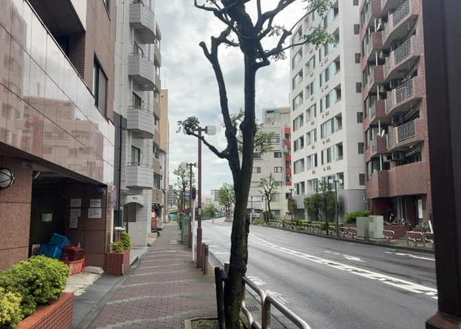 眺望を気にして物件を探す場合、前面に建物が建っていないか現地で確認しましょう！前面に建物があると景色はもちろん、日当たりや風通しにも影響が出てきます。住んだ時のことを想像しながら現地見学をしましょう。