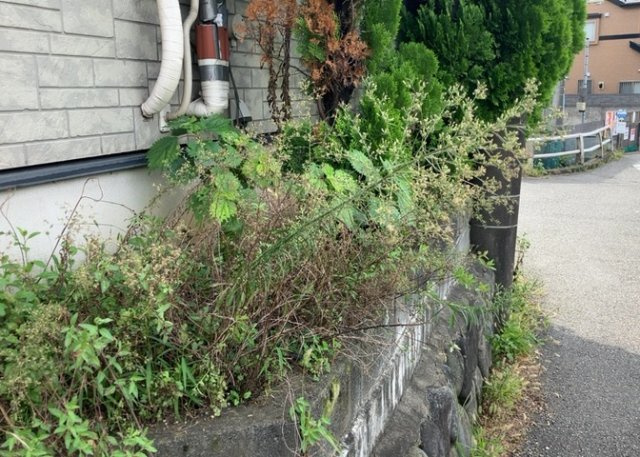 庭があることでガーデニングや家庭菜園はもちろん、こどもの遊び場やペットを放して遊ぶことができます。また、家の周囲に余裕があるということです。隣地との間があれば、十分な日当たりと、風通しが確保できます。