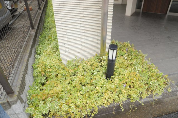 ダイアパレス八王子大和田の庭