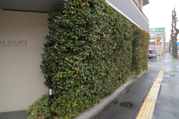 ダイアパレス八王子大和田の中庭