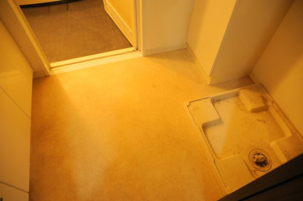 ダイアパレス八王子大和田の脱衣場