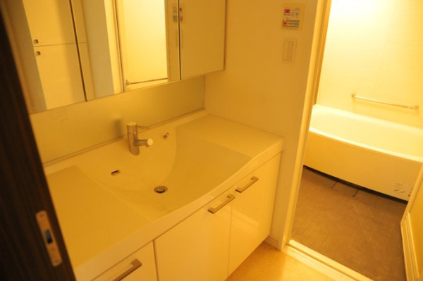 ダイアパレス八王子大和田の独立洗面台