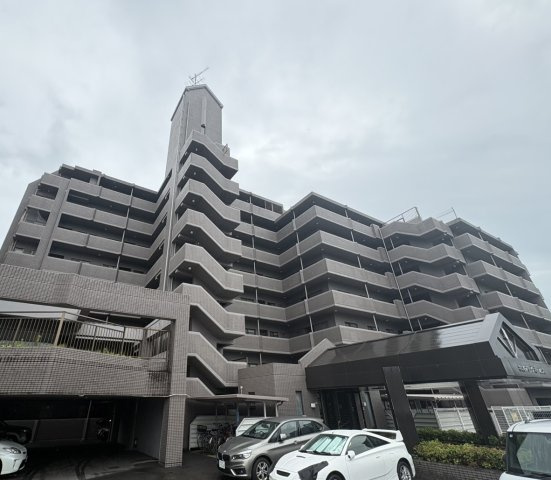 外観：338000056810