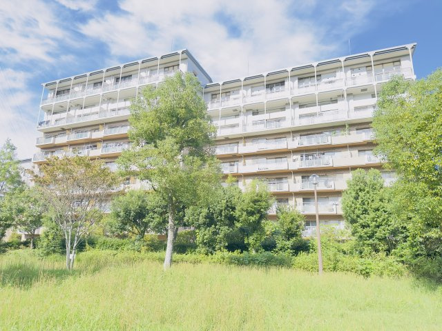 外観：314002675471