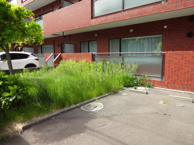 お庭でゆったりと過ごせます