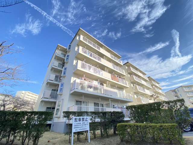 外観：312001196532