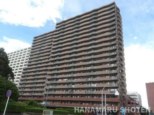 外観：312001195256