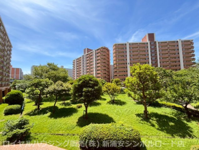 展望