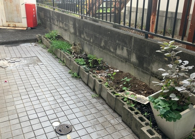中庭（パティオ）とは、一つの建築物の内部に設けられた、壁などで囲われている庭のことを指します。コの字型、ロの字型が主流ですが、L字型の中庭もあります。最近では、インテリア性の高さからも人気があります。