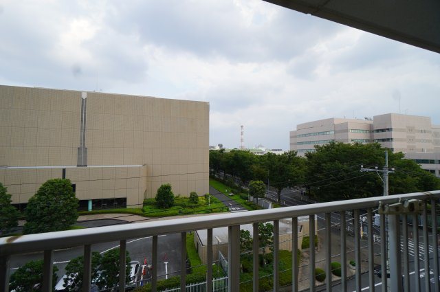 展望