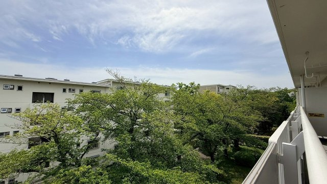 4階からの開放的な南向き眺望。視界に広がる豊かな緑が、心安らぐ穏やかな暮らしと四季の彩りを届けます
