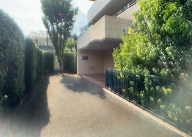 中庭（パティオ）とは、一つの建築物の内部に設けられた、壁などで囲われている庭のことを指します。コの字型、ロの字型が主流ですが、L字型の中庭もあります。最近では、インテリア性の高さからも人気があります。