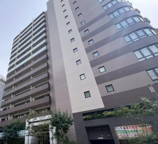 外観：313004726484