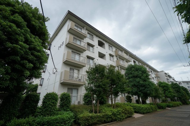 外観：312001224524