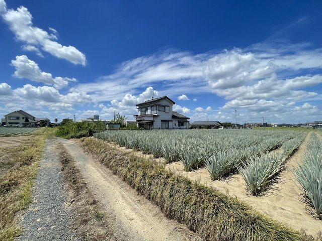 令和5年8月撮影