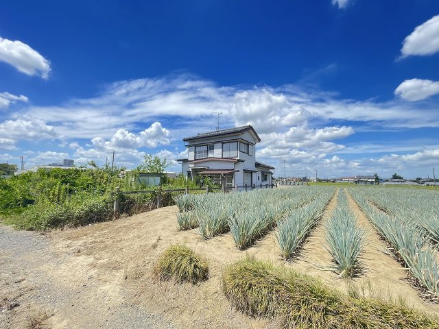令和5年8月撮影
