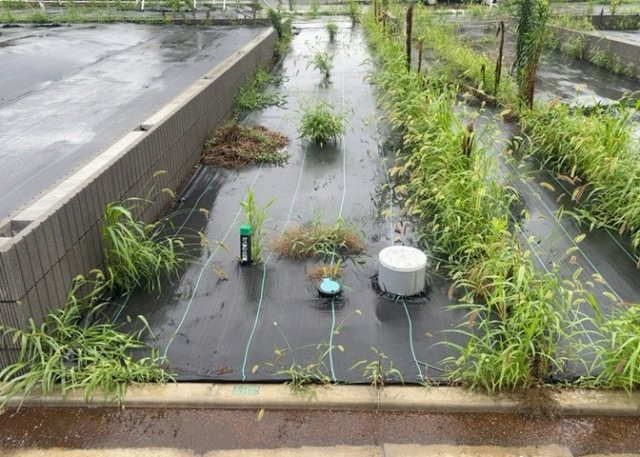 現地に行くなら、物件の周囲の地形がどうなっているかを見ることも大切です。周辺より低くなっている土地では、大雨などで水が集まりやすいため、地盤が弱くなっているということも考えられるため、注意が必要です。