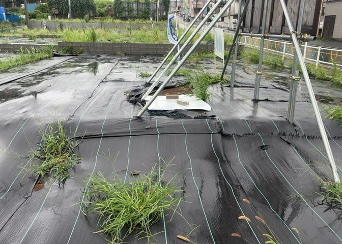 家を建てる前提で土地を探している場合、地盤の丈夫さは譲れない条件の一つです。地盤が脆弱だと追加工事が必要となります。また、過去に地盤沈下や液状化現象を起こした土地は、できるだけ避けた方がいいでしょう。
