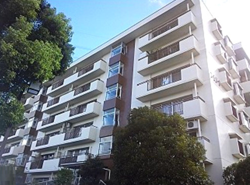 外観：313004688101