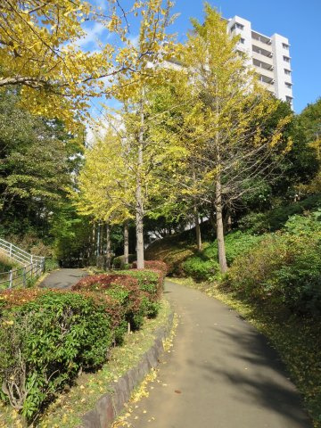 団地内の遊歩道・毎日のお散歩も快適な緑に恵まれた閑静な住宅地