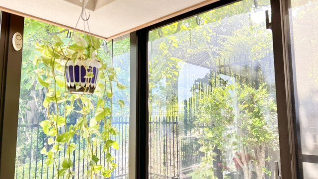 リングの窓から季節を楽しむことができます。