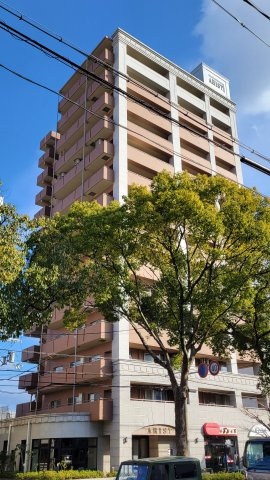 外観：330000084332