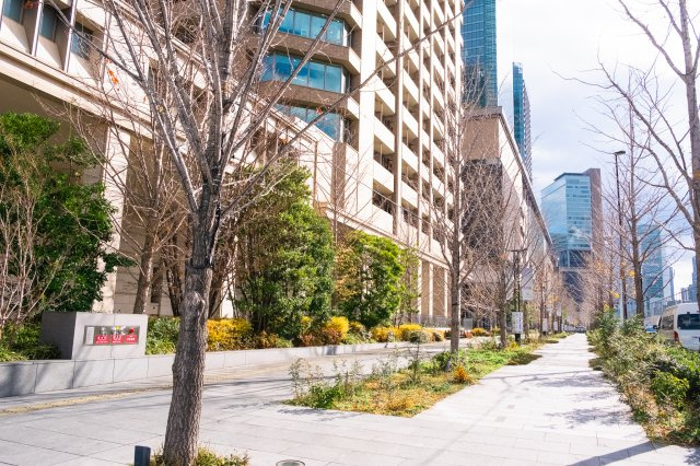【周辺】周囲の歩道も広くてきれいです！思わず散歩したくなるあたたかで気持ちの良い雰囲気！