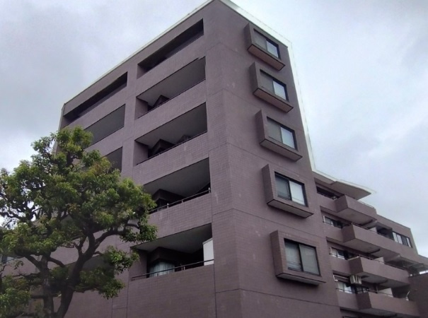 外観：313004557897