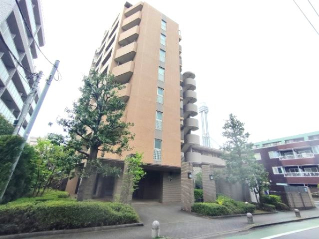 外観：313004695542