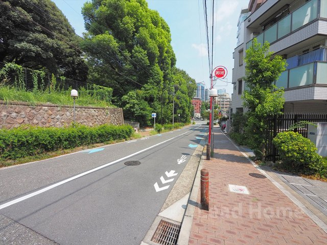 緑の植栽が彩る見通しの良いフラットな前面道路！歩道が整備されており毎日のお散歩やお出かけも安心です♪