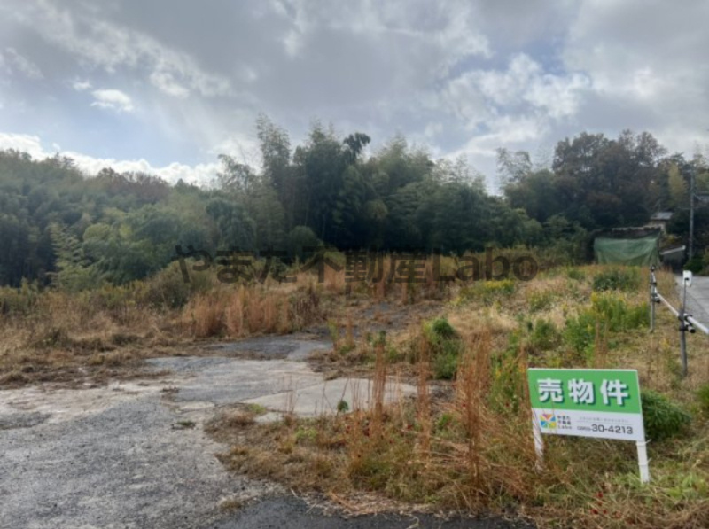 外観：331000016859