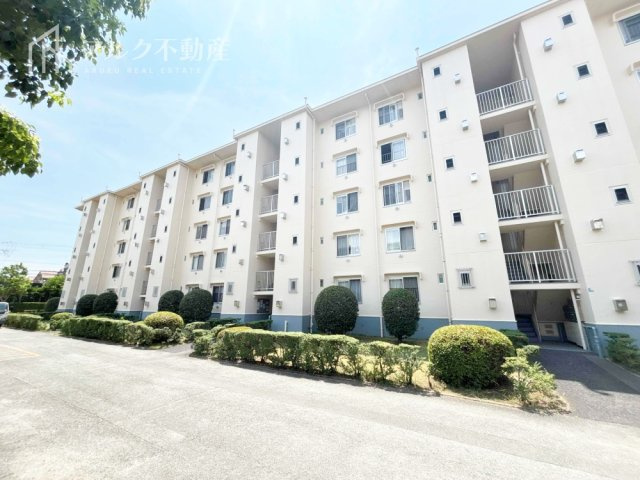 外観：328000666636