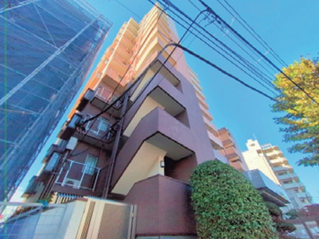 外観：313004666667