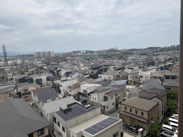 展望