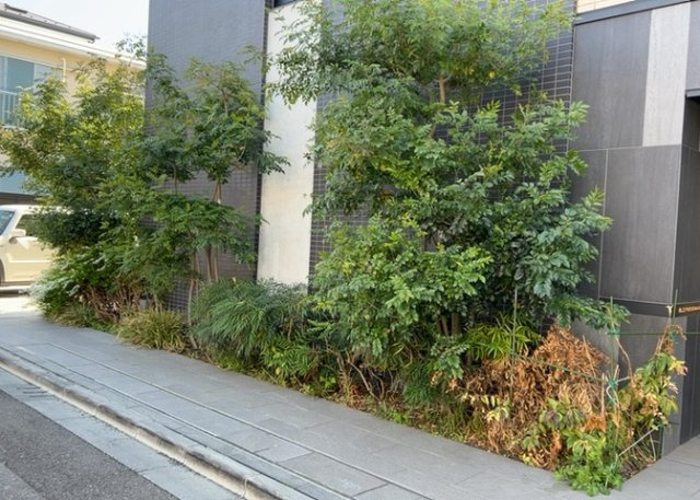 物件によっては、入居者が個人的に使用できる専用庭がついているものもあります。また、住宅の中にある土間の部分を庭と呼ぶこともあります。庭の用途は住む人によって変わり、それによってデザインもさまざまです。