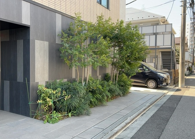 中庭（パティオ）とは、一つの建築物の内部に設けられた、壁などで囲われている庭のことを指します。コの字型、ロの字型が主流ですが、L字型の中庭もあります。最近では、インテリア性の高さからも人気があります。