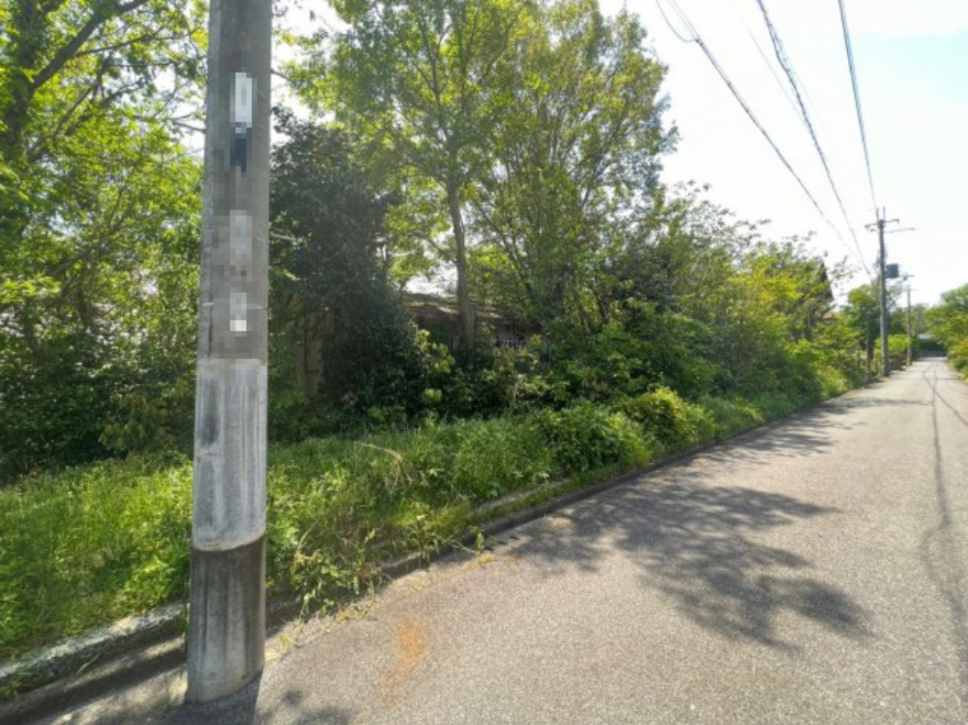 外観：325000117392