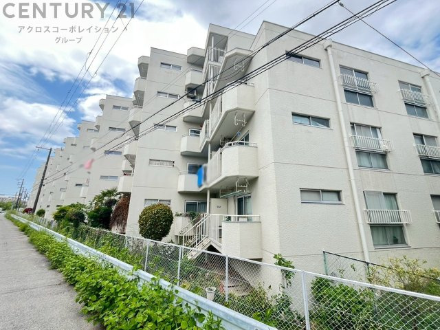 SRC造5階建て