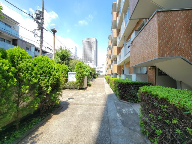 敷地内