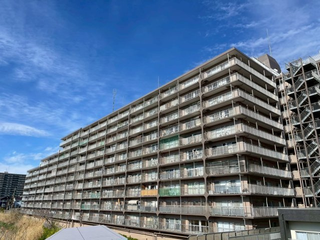 外観：311002345496