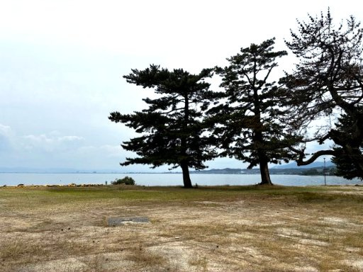 2026年6月撮影、周辺の松野浦水泳場