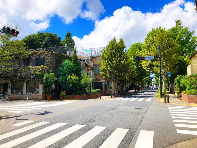 成城学園前駅まで徒歩圏内。緑豊かな低層住宅地の広がる街並みです。