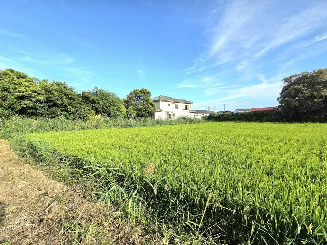 令和8年8月撮影