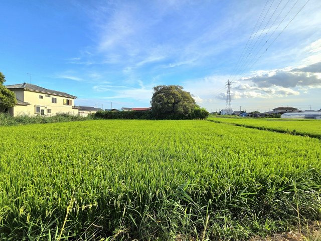 令和8年8月撮影