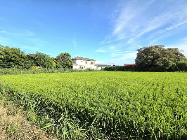 令和8年8月撮影
